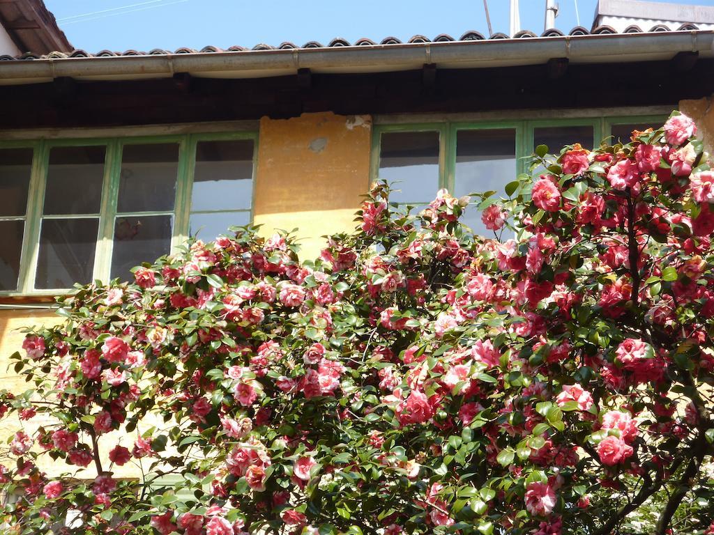 Ca Melia Bedigliora Apartman Kültér fotó
